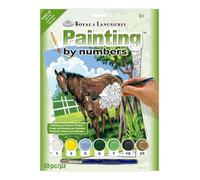 Royal & Langnickel Painting by Numbers A4 Size Mare and Foal Designed Painting Set