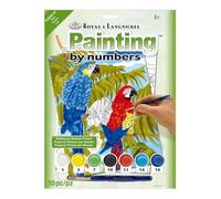 Royal & Langnickel Painting by Numbers A4 Size Parrots Designed Painting Set