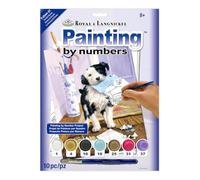 Royal & Langnickel Painting by Numbers A4 Size the Mail Menace Designed Painting Set