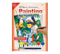 Royal & Langnickel Painting by Numbers A4 Size Tropical Birds Designed Painting Set