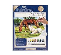 Royal & Langnickel Painting by Numbers Artist Canvas Series Horses Infields Large Designed Painting Set