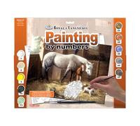Royal & Langnickel Painting by Numbers Kit PAL24 New Friends