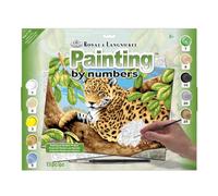 Royal & Langnickel PJL11 Leopard in Tree Painting by Numbers Kit