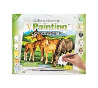 Junior Large Paint By Number Kit 15.25"X11.25"-Horse & Foals