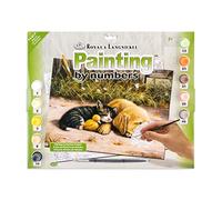 Royal & Langnickel PJL28 Sleepy Day Painting by Numbers Kit