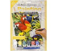 Royal & Langnickel(R) Small Paint By Number Kit 8.75"X11.75"-Majestic Macaws - P