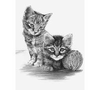 Royal & Langnickel SKTCH Made Easy Kittens with B