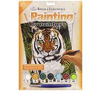 Royal & Langnickel Tiger in Hiding Design Paint by Numbers Kit