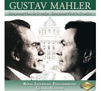 Symphony 1 in D Major / Sympho
