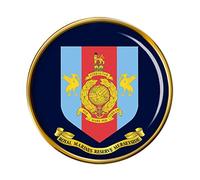 Royal Marines Reserves Merseyside Pin Badge