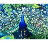 Royal Peacock Velvet Fabric Digital Print Bright Feather Design Upholstery Home Decor Cushion Curtains - 148cm Wide - Sold by the Metre