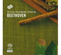 Royal Philharmonic Orchestra - Symphony No. 6 (Ermler, Rpo) [Sacd/CD Hybrid]