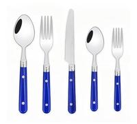 Royal Shang Youpin Two Nail Plastic Handle Kitchen Stainless Steel Silverware Tableware Flatware Cutlery Set Steak Knife Fork Spoon Teaspoon (Blue,5 pieces)