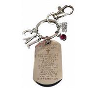 Royal Swan Personalised Stainless Steel Serenity Prayer Keychain, with Initials, Birthstone & the Present Year.AA, NA, GA, CA Self Help Group Keyring.