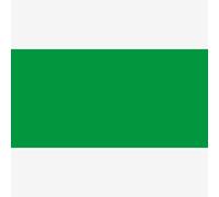 Amsterdam Standard Series Acrylic Tube 120 ml Brilliant Green 605 (17096052)