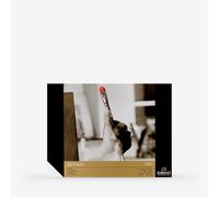 Royal Talens : Rembrandt : Oil Painting Paper Block : 300gsm : 24x32cm