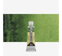 Rembrandt Watercolour Tube 10 ml Sap green 623 (05016230)