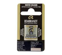 Royal Talens : Rembrandt Watercolour Paint : Half Pan : Davy's Grey