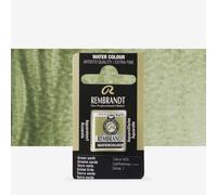 Royal Talens : Rembrandt Watercolour Paint : Half Pan : Green Earth
