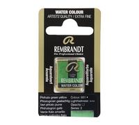 Royal Talens : Rembrandt Watercolour Paint : Half Pan : Phthalo Green Yellow