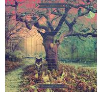 Royal Thunder - Crooked Doors [Vinyl LP] [VINYL]