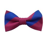 Royal Welch Fusiliers (Ready-Tied) Regimental Bow Tie