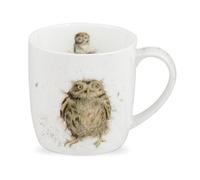 Royal Worcester What A Hoot Owl Mug