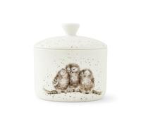 Royal Worcester x Wrendale Designs Storage Jar with Lid - Medium Fine Bone China, Featuring 3 Owl Design by Artist Hannah Dale, Ideal for Keeping Tea Bags, Coffee and Sweet Treats Fresh, 9.5cm