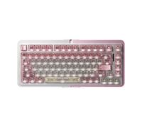 Royalaxe E75 Oracle Switch Silver-Pink Magnetic Keyboard | 75% Layout | Aluminum Alloy Frame | RT Precision 0.001mm | Type-C Interface | Esports Gaming Dedicated Keyboard