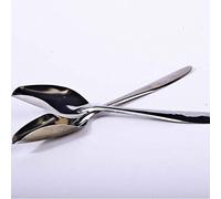 ROYJJ 5Pcs Parrot Metal Feeding Spoon Stainless Steel Feed Milk Water Hand Feeder Spoons for Peony Cockatiel Small Bird Parrot feeding spoon chicks stainless steel spoon feeding spoon