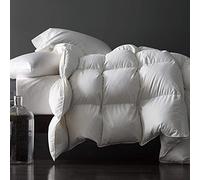 Royoliving Premium Greyduck Feathers Down Comforter Queen Full Size All Season Medium Warmth Solid White 100% Cotton Cover Down Proof Duvet Insert with Corner Tabs, 50 Oz