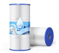 ROYOR Hot Springs Filter Flair PWK35B, Hot Springs Filter Replacement 78161, 78286, Filbur FC-3921, 1642301-1 Watkins Filter for Hot Tub, 35 Sq.Ft., Hot Springs SPA Filters, 2 Packs
