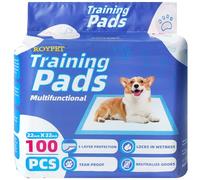 Roypet 22" x 22" Super Absorbent Pet Training Pad - Disposable Puppy Pads - Puppy Training Pads in bag, Fast Drying Pee Pads - Cat & Dog Pee Pad - Thick Dog Training Pad, 100-Count