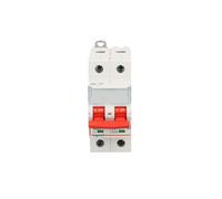 Rozłącznik modułowy 40A 2P 16kA FRX302 406527