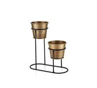 Rozi Gold 2in1 Succulent Plant Pot