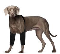 ROZKITCH Dog Surgery Recovery Sleeve for Front Legs, Pet Prevent Licking Wound Elbow Brace Protector, Dog Leg Sleeve to Stop Licking Cone Collar Alternative for Sprain A rthritis Black 3XL