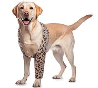 ROZKITCH Dog Surgery Recovery Sleeve Front Right Left Leg, Pet Prevent Licking Wound Elbow Brace Protector, Dog Recovery Suit Cone Collar Alternative for Sprain A rthritis Joint Care Brown 2XL