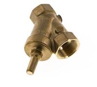 Rp 2'' Brass Y Check Valve 10 bar (145 psi) FKM
