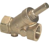 Rp 2'' Brass Y Check Valve 16 bar (232 psi) FKM