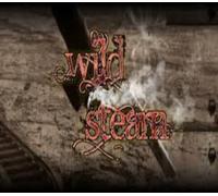 RPG Maker VX Ace - Wild Steam Resource Pack DLC Steam CD Key