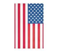 RPLIFE American USA Flag Tea Towles, 28x18 Bulk Tea Towels Fun Kitchen Towels