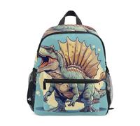 RPLIFE Backpack for Toddler Girls Boys, Roar Dinosaur Kids Backpacks, Roar Dinosaur, S, Cool Soccer Print Backpacks