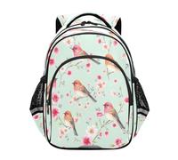 RPLIFE Birds Watercolor Backpack for Kids 3-8 Years 15 Inch Elementary School Backpack, Watercolor birds, S, Traditional Backpacks