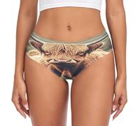 RPLIFE Curious Highland Cow Womens Brief, Breathable Underwear Women Briefs, Women Brief Spandex Underwear, Curious Highland Cow, S