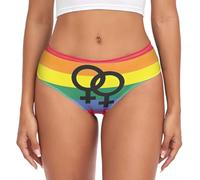 RPLIFE Paraguay Flag Pantie Brief, Womens Breathable Briefs, Comfort Underwear Women, Soft Underwear, Rainbow Lesbian Pride Flag Sexual Identity, M