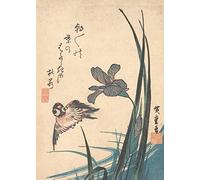 RPW Roystone Print Works Hiroshige 'Iris and Sparrow', Japan, 19th Century, Reproduction gloss A4 & A3 Vintage Classic Ukiyo-e Art Poster