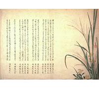 RPW Roystone Print Works Hokusai 'Asters and Susuki Grass', Japan, 18-19th Century, Reproduction gloss A4 & A3 Ukiyo-e Classic Art Poster