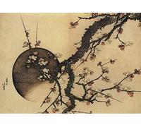 RPW Roystone Print Works Hokusai 'Plum Blossom and The Moon', Japan, 18-19th Century, Reproduction gloss A4 & A3 Ukiyo-e Classic Art Poster