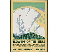 RPW Roystone Print Works Vintage Underground 'Flowers of The Hills', 1920, Edward McKnight Kauffer, Reproduction Classic Art Deco English Travel Poster (A3)