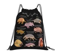 RQLNBOBZ Armadillos Of The World Backpacks Multi-function Portable Drawstring Bags Shoes Bag Book Bags For Travel Students